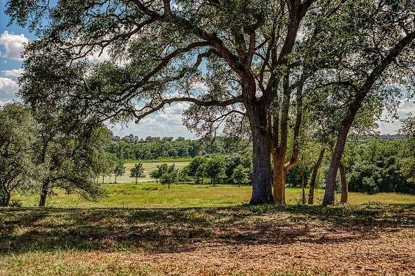17.8 Acres of Land for Sale in Fayetteville, Texas