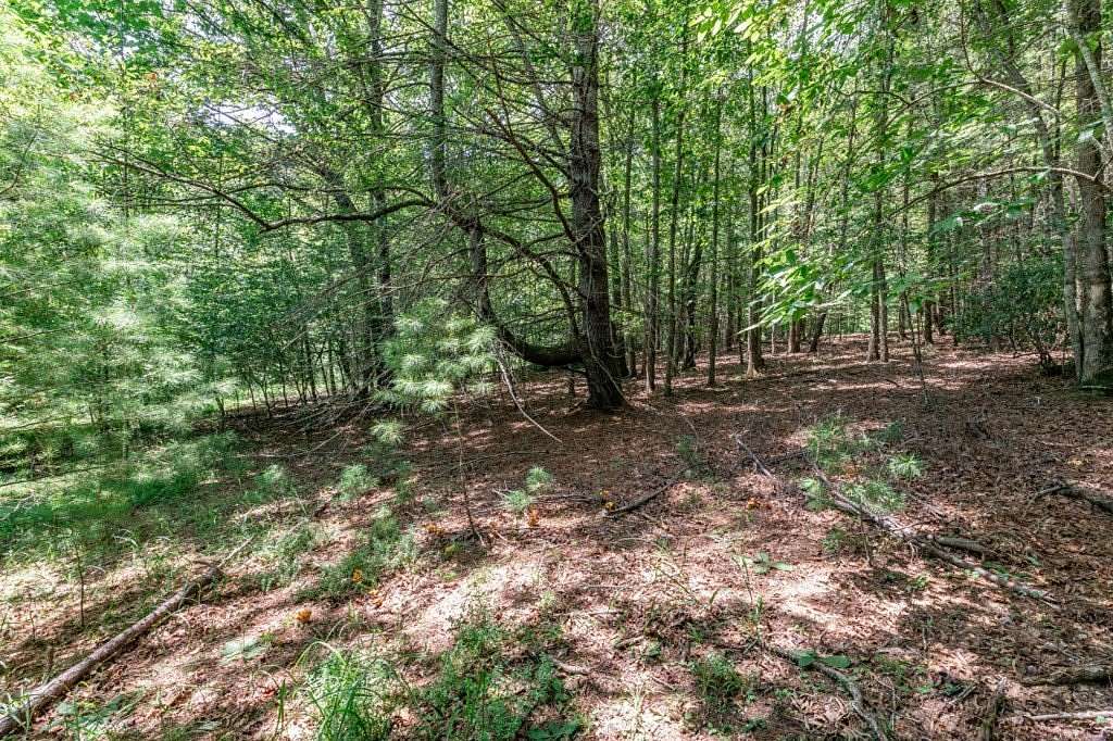 3.16 Acres of Land for Sale in Mineral Bluff, Georgia