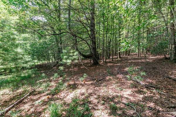 3.16 Acres of Land for Sale in Mineral Bluff, Georgia
