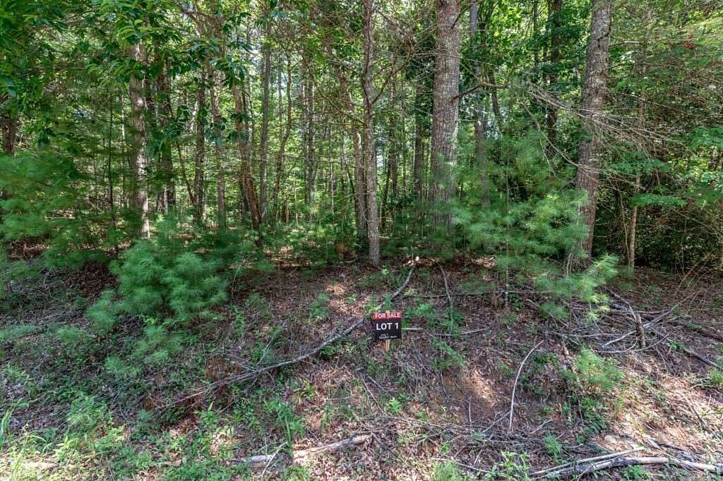 4.12 Acres of Land for Sale in Mineral Bluff, Georgia