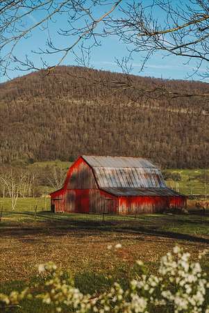 126 Acres of Land for Sale in Pikeville, Tennessee