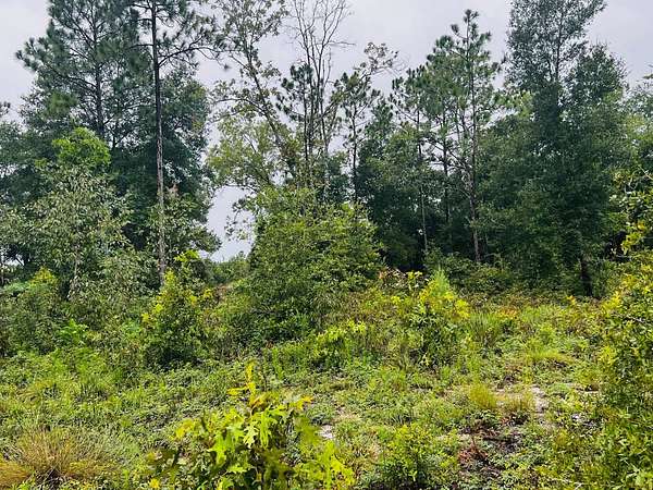 1 Acre of Land for Sale in Keystone Heights, Florida