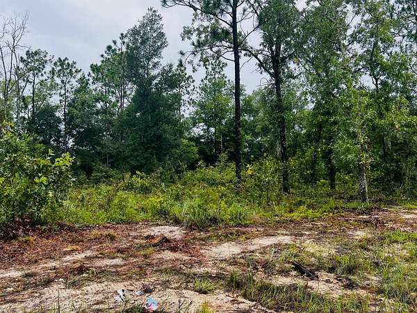 1 Acre of Residential Land for Sale in Keystone Heights, Florida