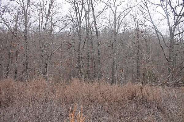 0.28 Acres of Residential Land for Sale in Bella Vista, Arkansas