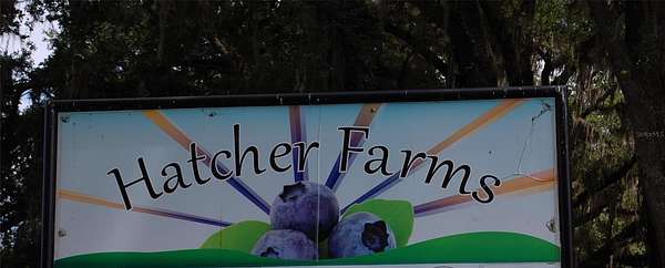 5 Acres of Land with Home for Sale in Hawthorne, Florida