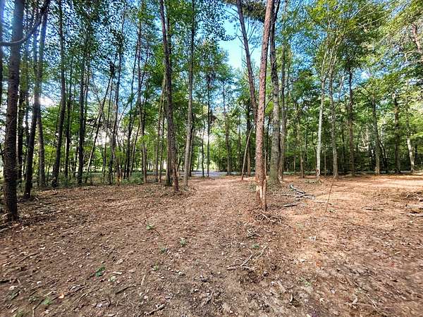 9.2 Acres of Residential Land for Sale in Ten Mile, Tennessee