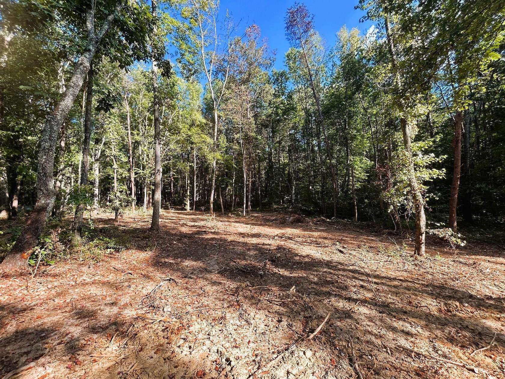9.2 Acres of Residential Land for Sale in Ten Mile, Tennessee