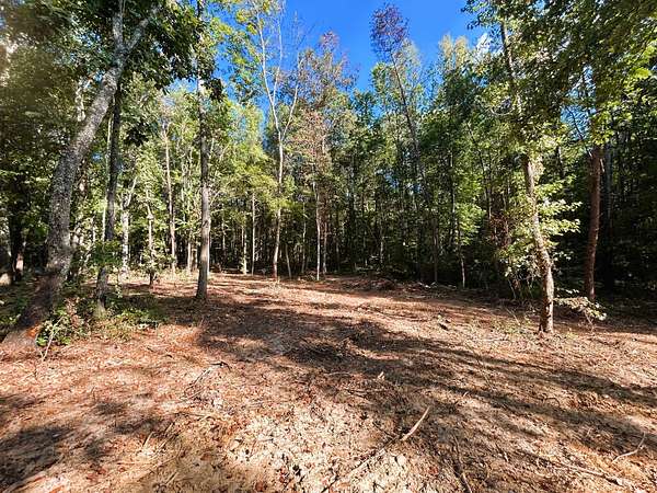 9.2 Acres of Residential Land for Sale in Ten Mile, Tennessee