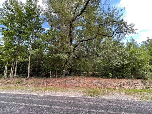 1.65 Acres of Residential Land for Sale in Varnville, South Carolina