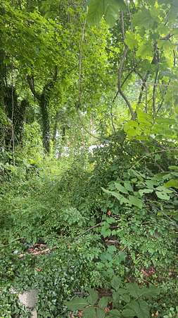 0.19 Acres of Residential Land for Sale in Bristol, Connecticut