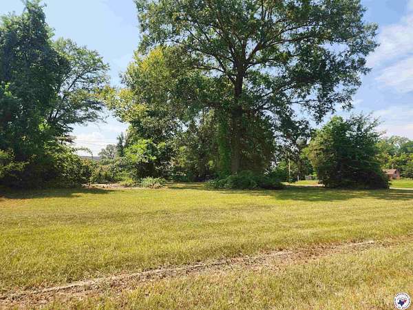 0.32 Acres of Mixed-Use Land for Sale in Texarkana, Texas