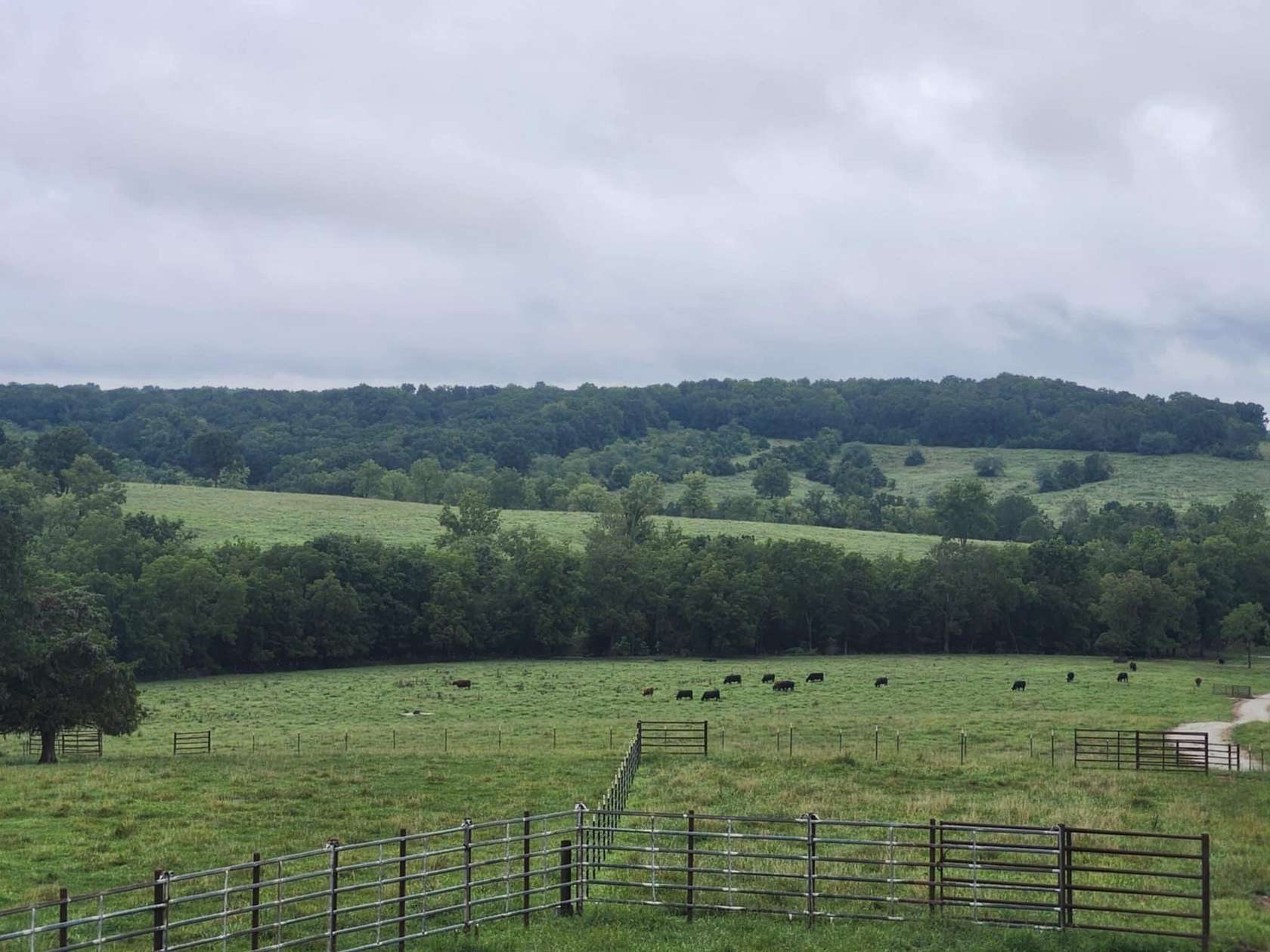 100 Acres of Agricultural Land for Sale in Mountain Grove, Missouri