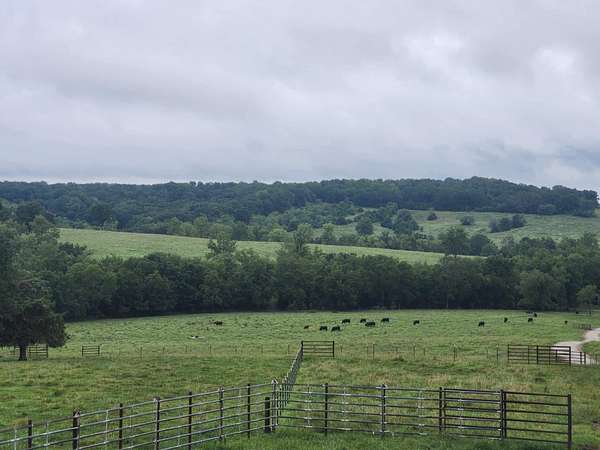 100 Acres of Agricultural Land for Sale in Mountain Grove, Missouri