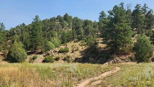 9.5 Acres of Residential Land for Sale in Cotopaxi, Colorado