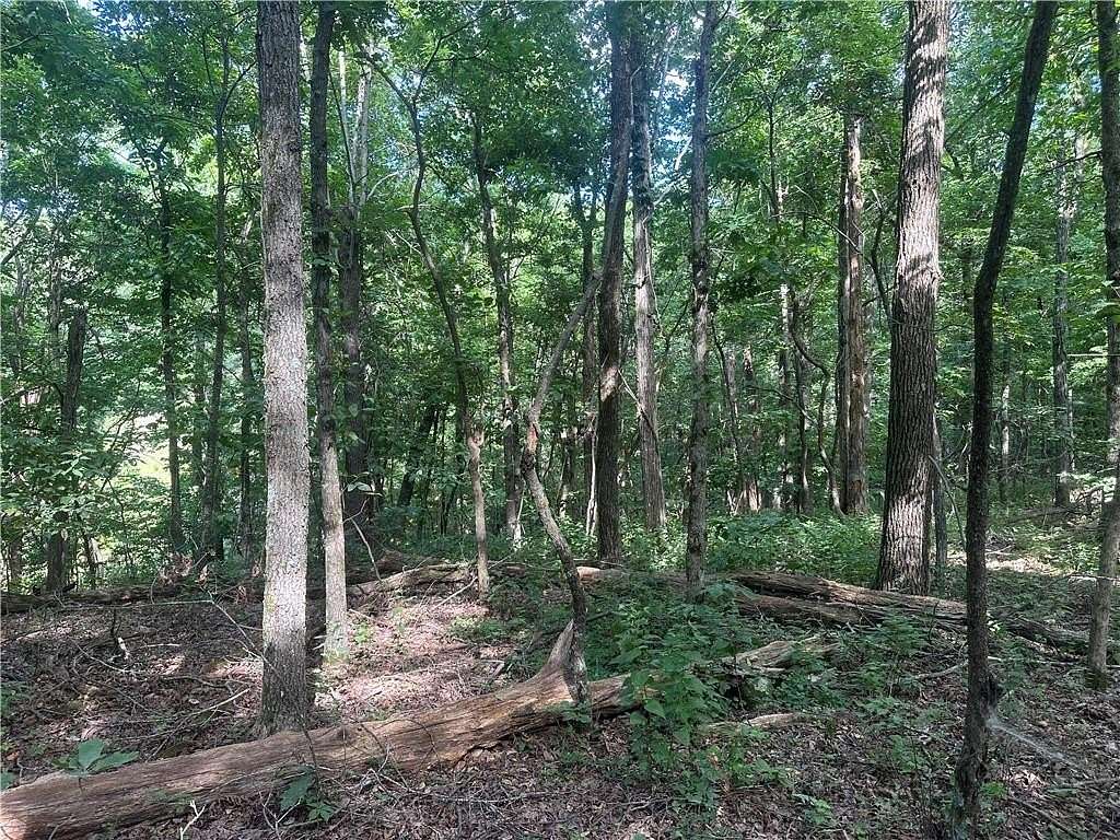 3.8 Acres of Land for Sale in Jasper, Arkansas