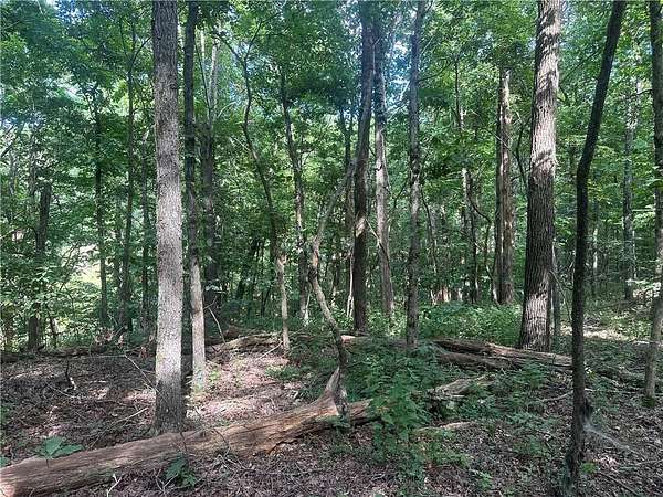 3.8 Acres of Land for Sale in Jasper, Arkansas