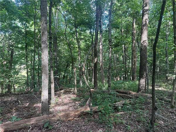 3.8 Acres of Land for Sale in Jasper, Arkansas