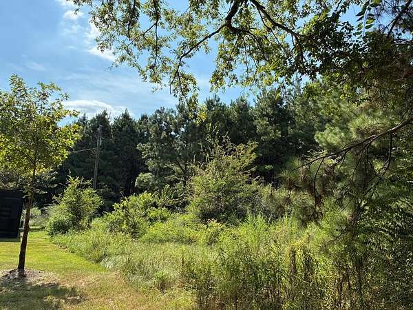 10 Acres of Land for Sale in Nacogdoches, Texas