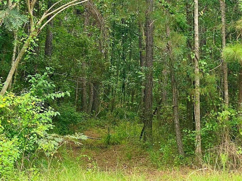16.7 Acres of Land for Sale in Picayune, Mississippi