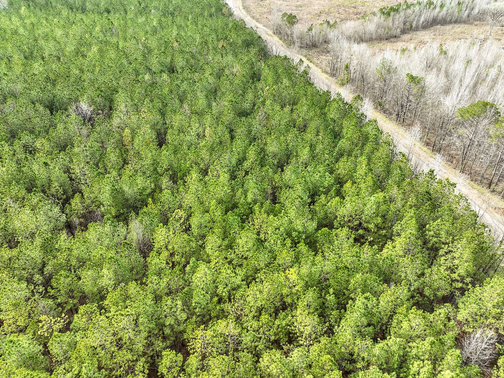 10 Acres of Recreational Land for Sale in Mathews, Alabama