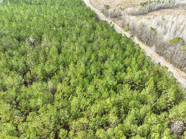 10 Acres of Recreational Land for Sale in Mathews, Alabama