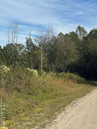 19 Acres of Agricultural Land for Sale in Kenbridge, Virginia