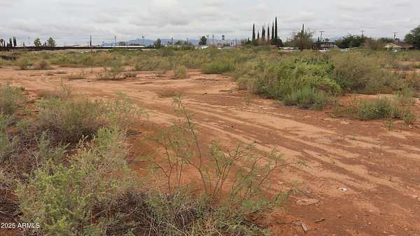 4 Acres of Residential Land for Sale in Douglas, Arizona