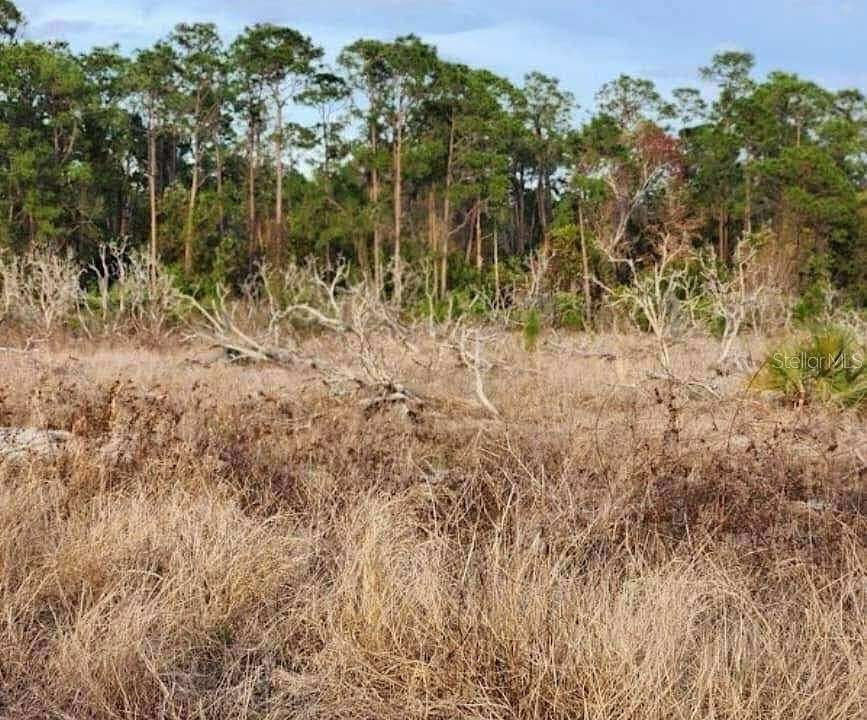 9.65 Acres of Residential Land for Sale in Frostproof, Florida