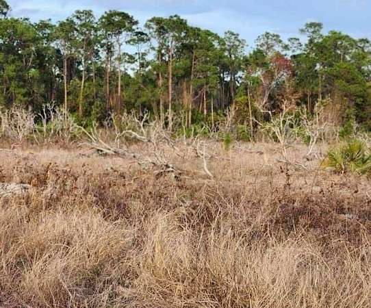 9.65 Acres of Residential Land for Sale in Frostproof, Florida