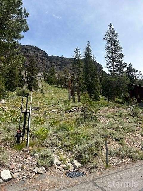 0.66 Acres of Residential Land for Sale in Kirkwood, California