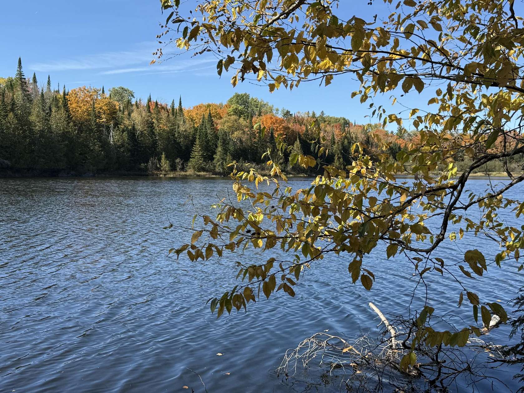 2.33 Acres of Land for Sale in Littleton, Maine