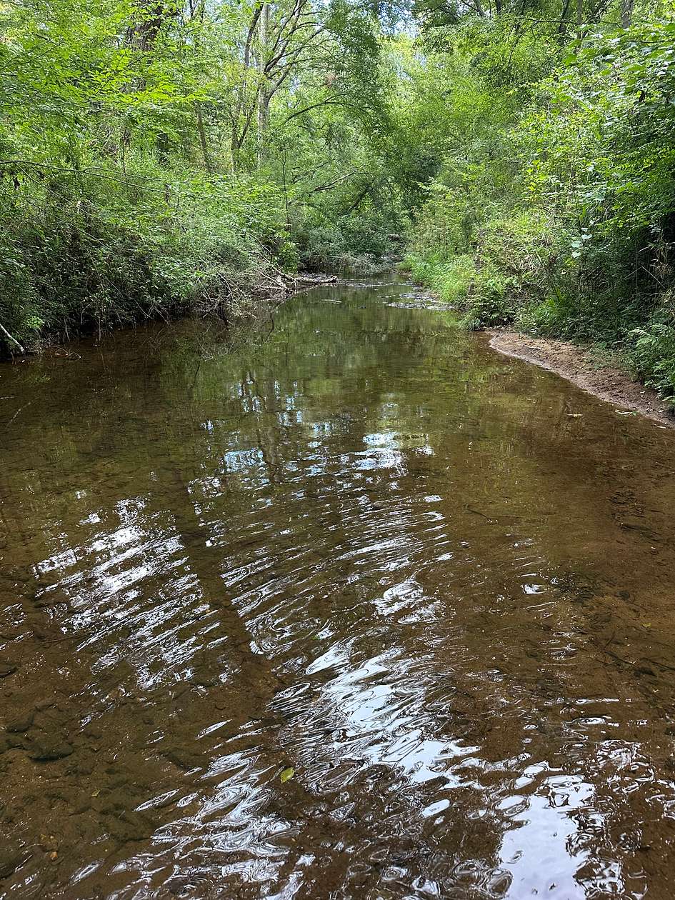 98.7 Acres of Recreational Land & Farm for Sale in Edgefield, South Carolina