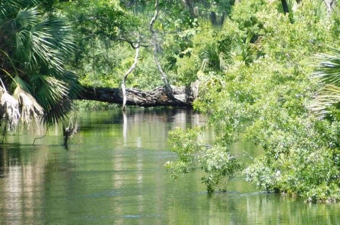 2 Acres of Residential Land with Home for Sale in Greenville, Florida