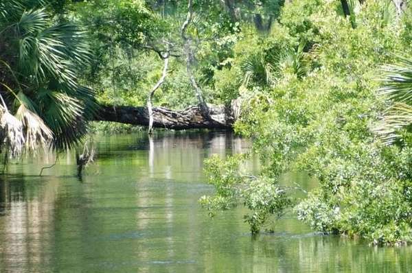 2 Acres of Residential Land with Home for Sale in Greenville, Florida