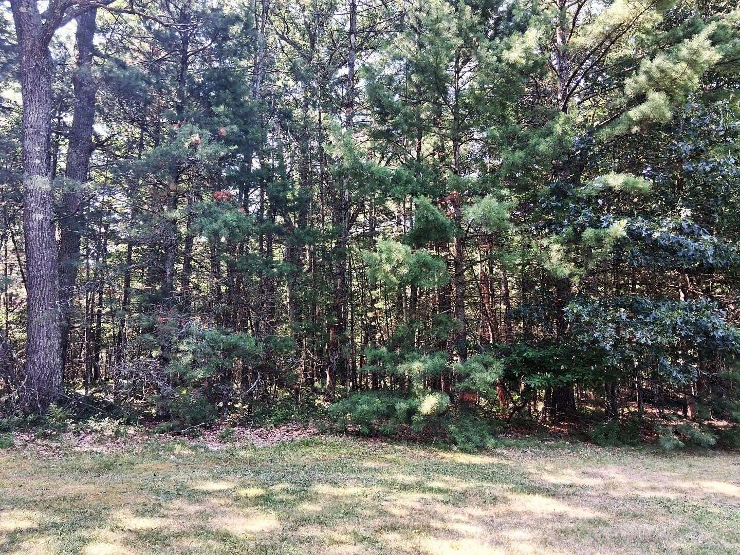 0.57 Acres of Residential Land for Sale in Prudenville, Michigan