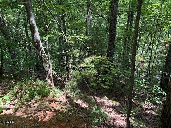 0.26 Acres of Residential Land for Sale in Sevierville, Tennessee