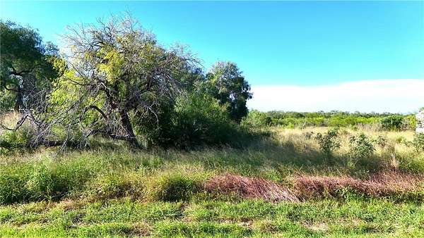 4 Acres of Land for Sale in Riviera, Texas