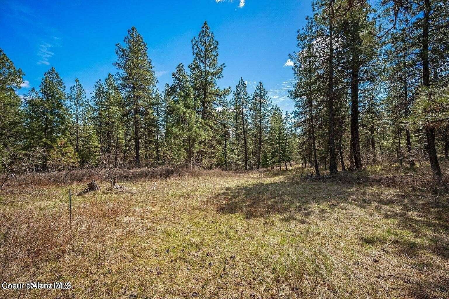 10 Acres of Residential Land for Sale in Worley, Idaho