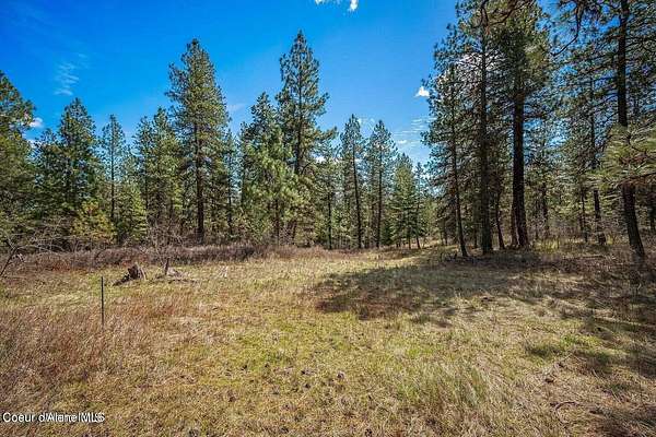 10 Acres of Residential Land for Sale in Worley, Idaho