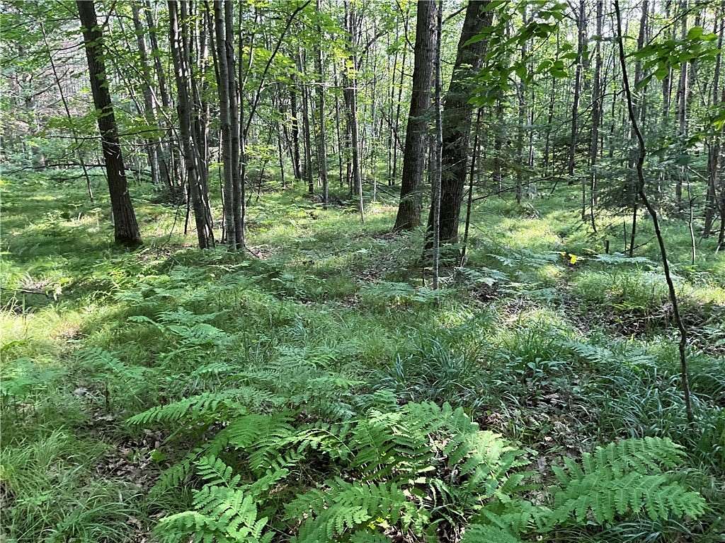 1.76 Acres of Land for Sale in Hayward, Wisconsin