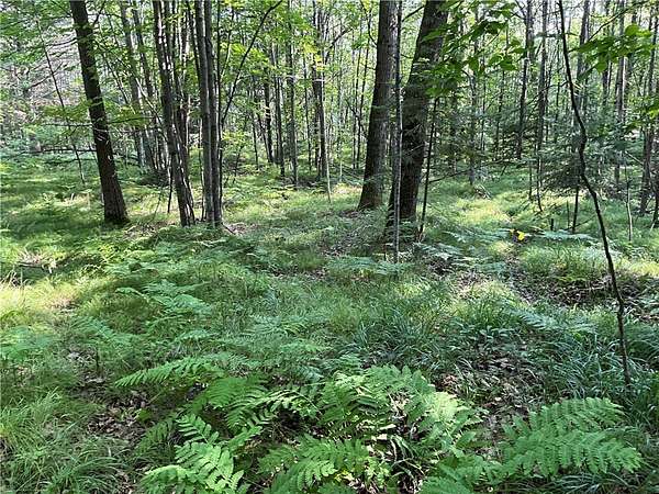 1.76 Acres of Land for Sale in Hayward, Wisconsin