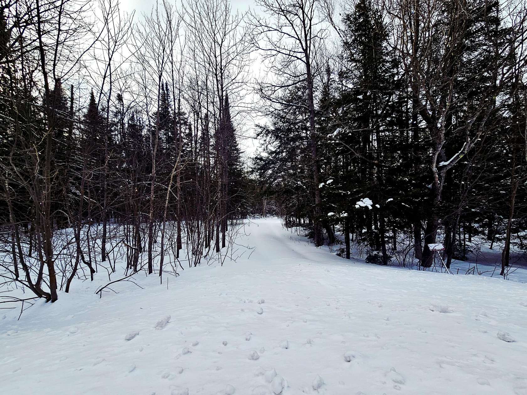 10 Acres of Recreational Land for Sale in Curtis, Michigan