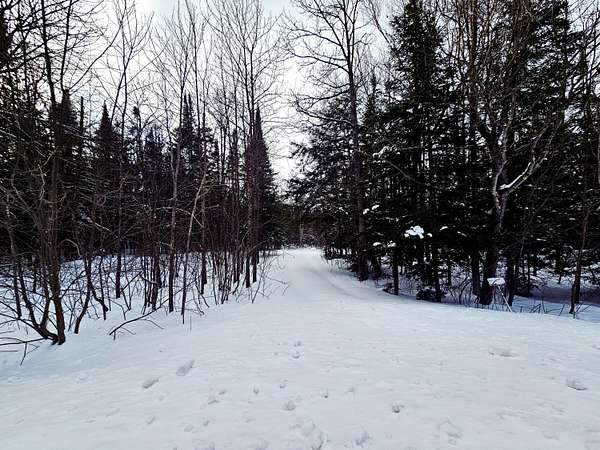 10 Acres of Recreational Land for Sale in Curtis, Michigan