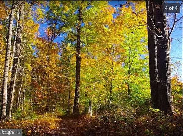 4 Acres of Residential Land for Sale in Phoenix, Maryland