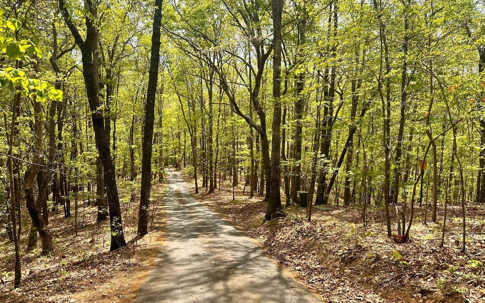 33.5 Acres of Land for Sale in Young Harris, Georgia