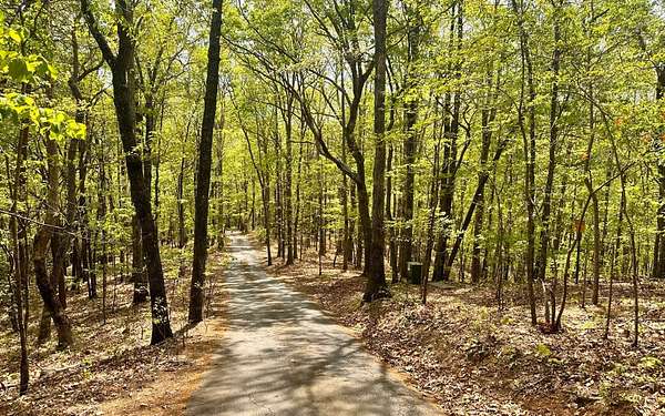 33.5 Acres of Land for Sale in Young Harris, Georgia
