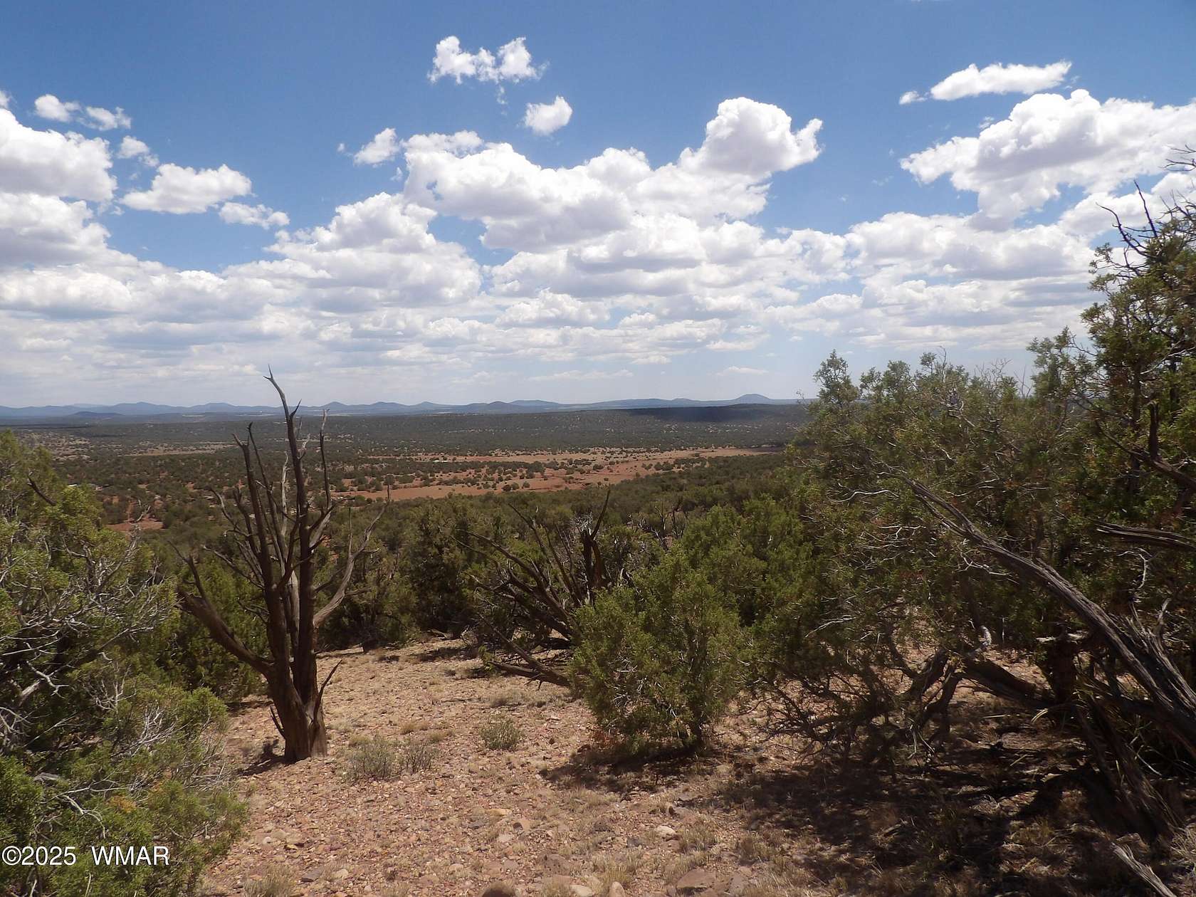 40 Acres of Land for Sale in Show Low, Arizona