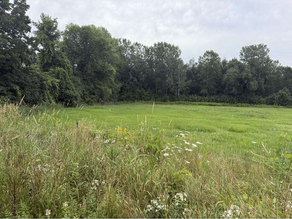 1.5 Acres of Residential Land for Sale in Plattsburgh, New York