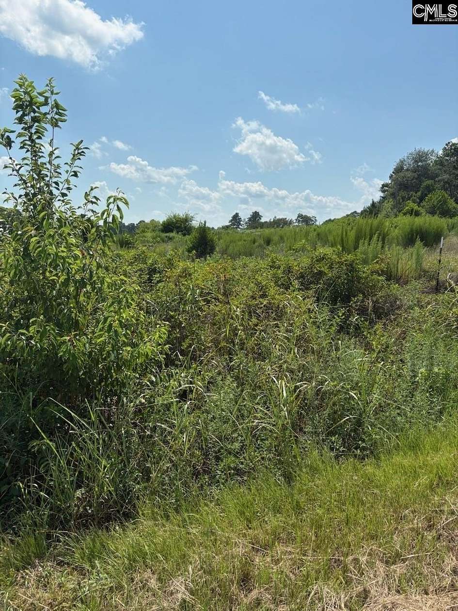 10.6 Acres of Commercial Land for Sale in Leesville, South Carolina