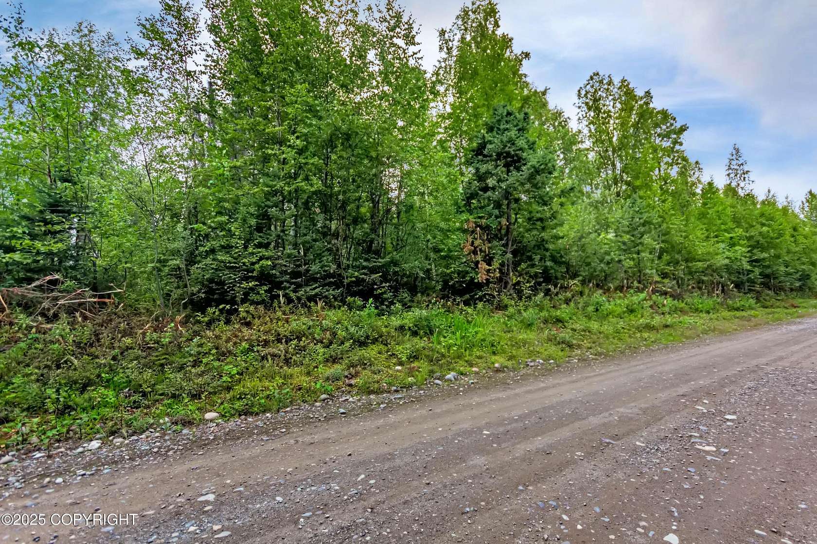 1 Acre of Land for Sale in Willow, Alaska
